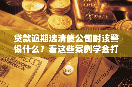 武汉贷款逾期选清债公司时该警惕什么？看这些案例学会打翻身仗