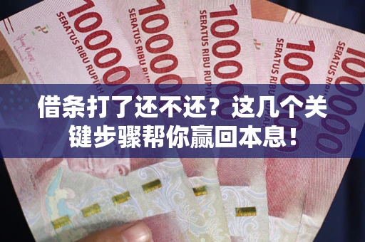 武汉借条打了还不还？这几个关键步骤帮你赢回本息！