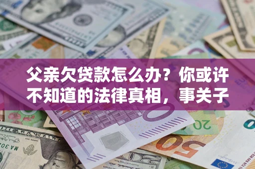 武汉父亲欠贷款怎么办？你或许不知道的法律真相，事关子女未来