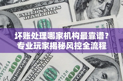 武汉坏账处理哪家机构最靠谱？专业玩家揭秘风控全流程