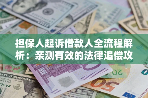 武汉担保人起诉借款人全流程解析：亲测有效的法律追偿攻略