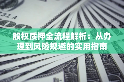 武汉股权质押全流程解析：从办理到风险规避的实用指南