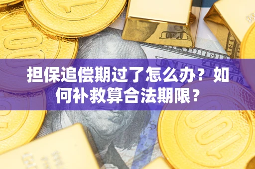 武汉担保追偿期过了怎么办？如何补救算合法期限？
