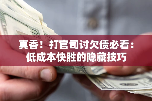 武汉真香！打官司讨欠债必看：低成本快胜的隐藏技巧