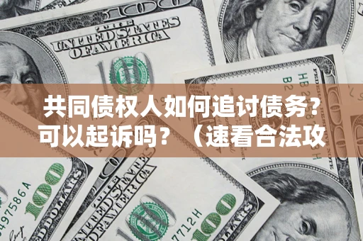 武汉共同债权人如何追讨债务？可以起诉吗？（速看合法攻略）