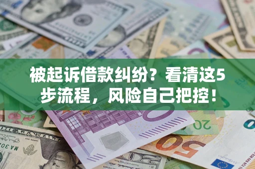 武汉被起诉借款纠纷？看清这5步流程，风险自己把控！