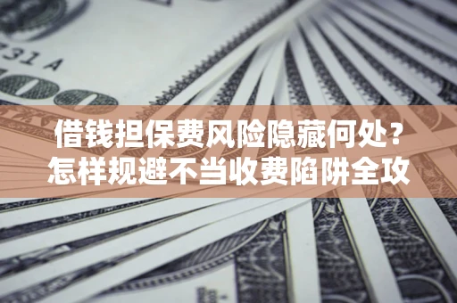 武汉借钱担保费风险隐藏何处？怎样规避不当收费陷阱全攻略！